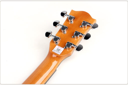 Deviser L2-720A Acoustic Guitar