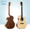 Deviser LS-160N Acoustic Guitar
