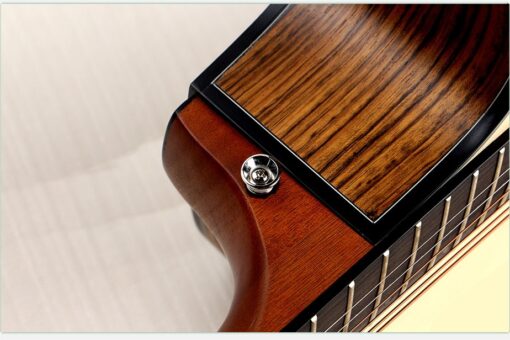 Deviser LS-160N Acoustic Guitar