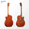 Deviser L-725A Acoustic Guitar New Edition®