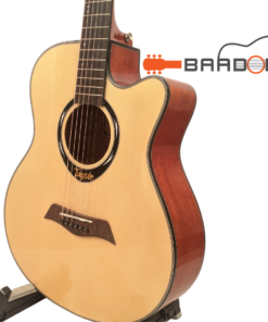 Tayste L-720A Pure Acoustic Guitar
