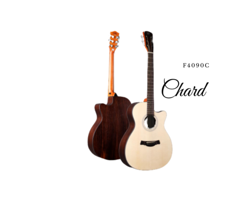 Chard F4090C Premium Pure Acoustic Guitar